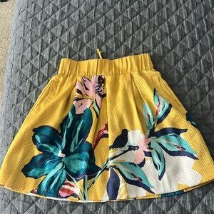 Anthropologie skirt, size 6, Maeve